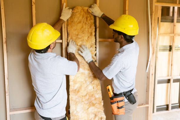 Best Attic Insulation Installation  in University Heights, OH